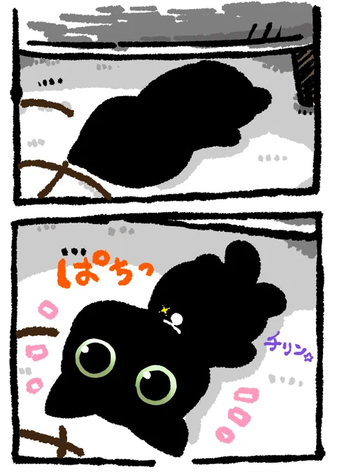 またもや遅まきながらですが
8月17日は黒猫感謝の日
だそうです。そんな中YouTubeで
見たソファーの下でくつろぐ
虚無な黒猫です。
https://t.co/MuJiWF3QOK 