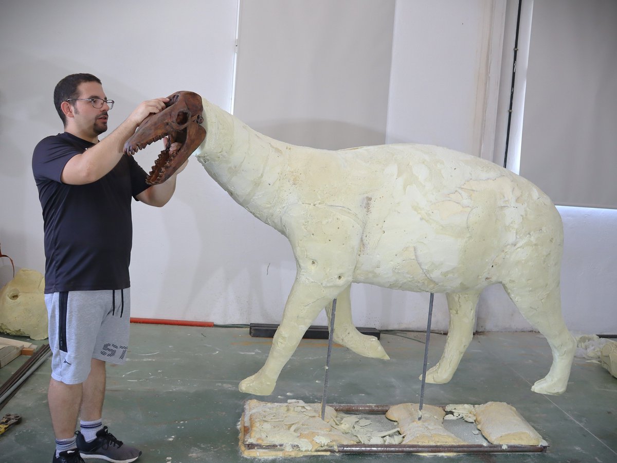 A strange creature is being born in our workshop 👀

#paleoart #paleoartist #paleoart #extinctanimals #paleosculpture #sculpture #mysteriousanimal