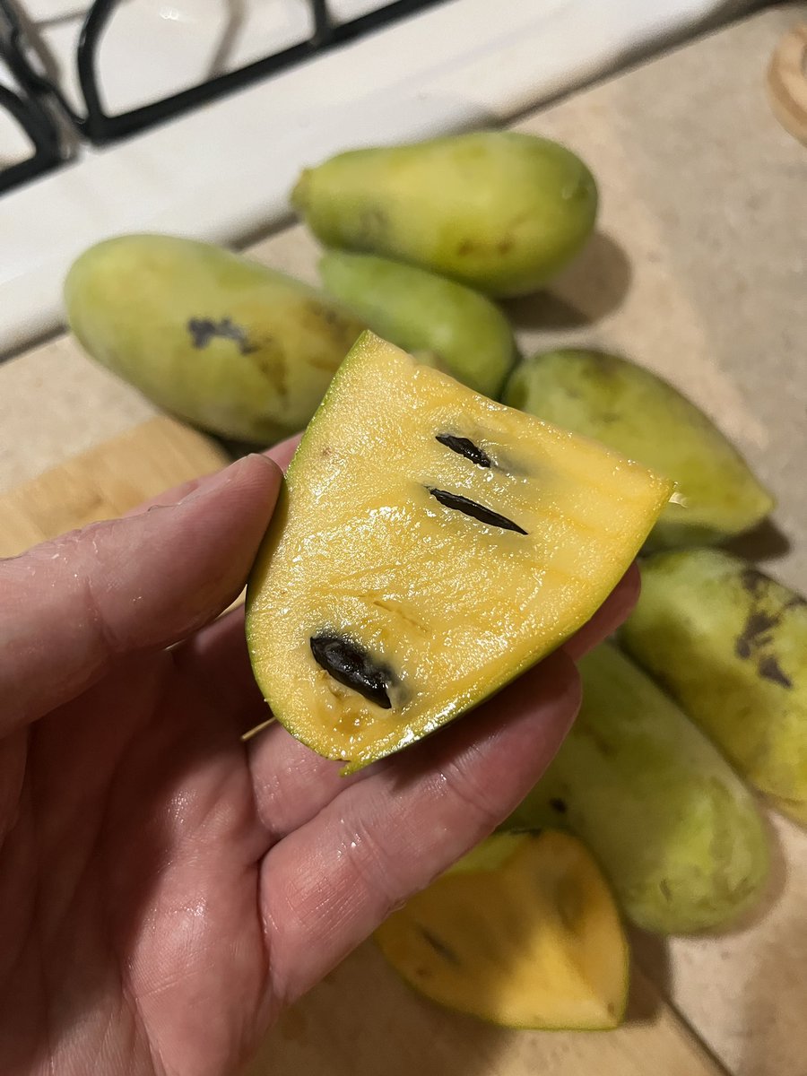 John A. Mundell tweet media