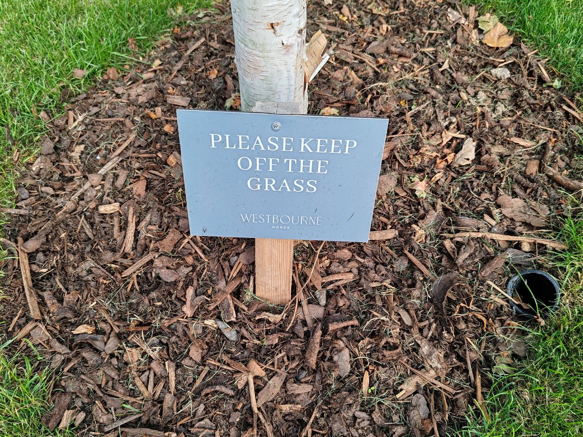 It's a shame the same respect could not be shown for the grass opposite the development!