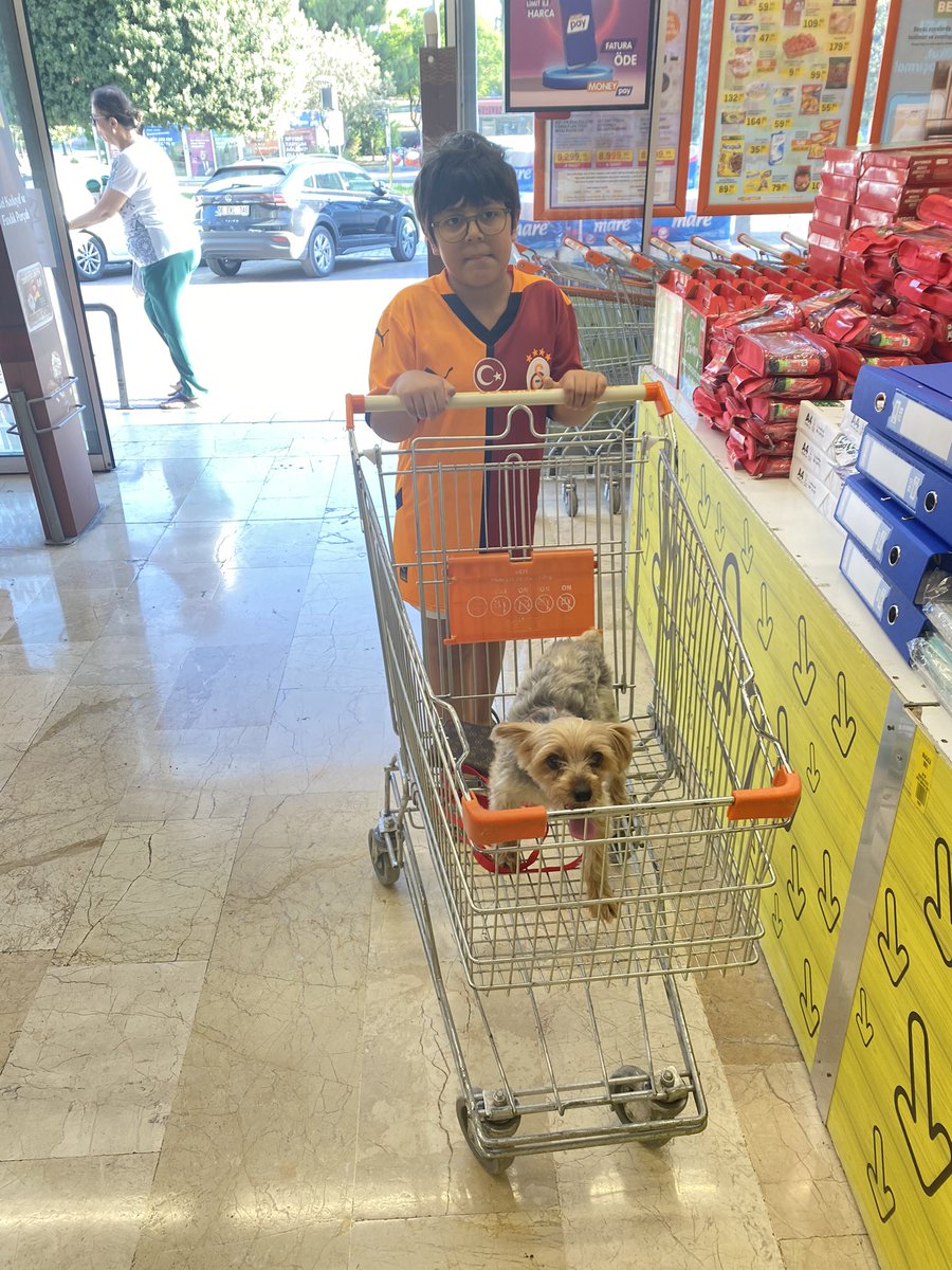 sedakilic01's tweet photo. Biz bugün şöyle bişe yaşadık..önceden marketlere girebiliyorduk özellikle Migros’ta hiçbir sıkıntı yaşamamıştık..ama bugün kovulduk Migros��tan köpeğimizi dışarı bağlamamız gerektiğini iki haftadır yasak başladığını söylediler⬇️ https://t.co/zzUVch61SK
