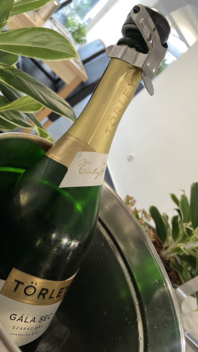 CSOPAK HOTEL tweet media