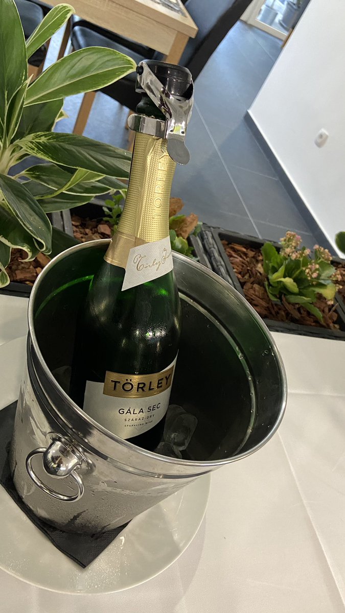 CSOPAK HOTEL tweet media