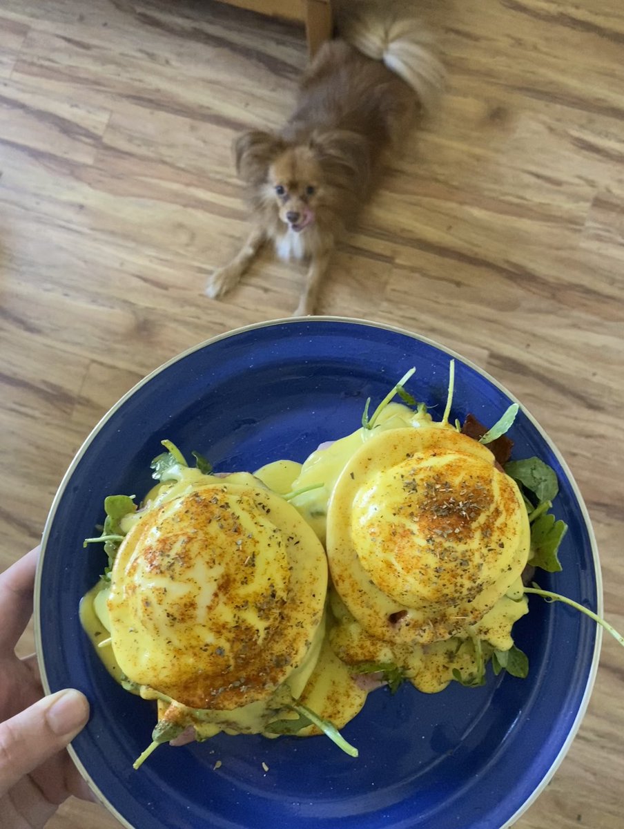 on sundays i make eggs benedict . i call it eggs benedict sunday