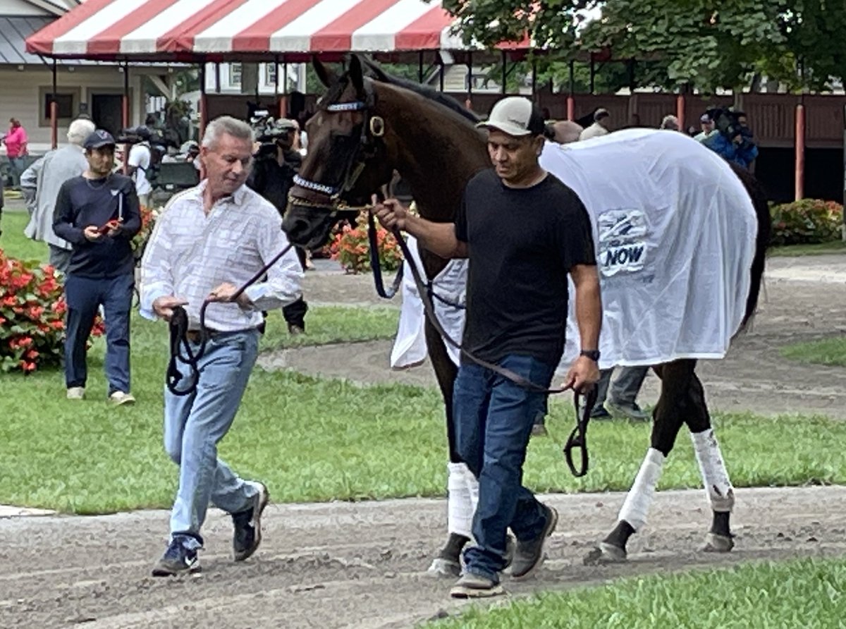 ScottWykoffWBAL's tweet photo. Super filly @Thorpedo_Anna striking a pose w/trainer @KennyMcPeek looking on at @TheNYRA #Saratoga as she schools in the paddock before race 2 preparing for Sat’s @DraftKings #Travers It’s been more than 100 yrs since a filly has won #MidSummerDerby
#Grizzly
@NYRABets
@wbalradio https://t.co/JK9UMqfxwx