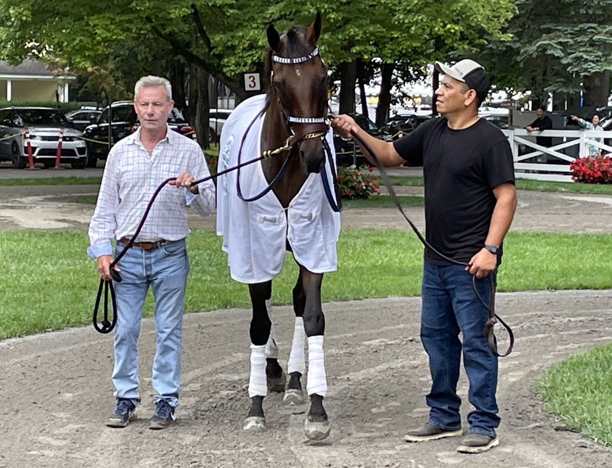 ScottWykoffWBAL's tweet photo. Super filly @Thorpedo_Anna striking a pose w/trainer @KennyMcPeek looking on at @TheNYRA #Saratoga as she schools in the paddock before race 2 preparing for Sat’s @DraftKings #Travers It’s been more than 100 yrs since a filly has won #MidSummerDerby
#Grizzly
@NYRABets
@wbalradio https://t.co/JK9UMqfxwx