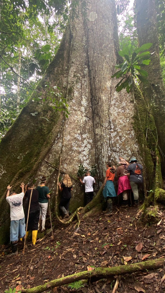 Camp Ecuador tweet media