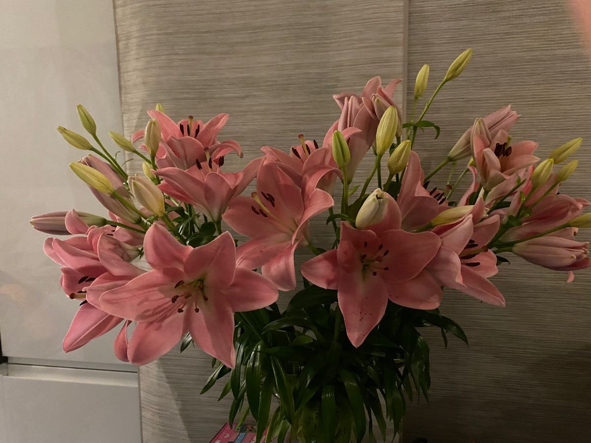 prtygal777's tweet image. 