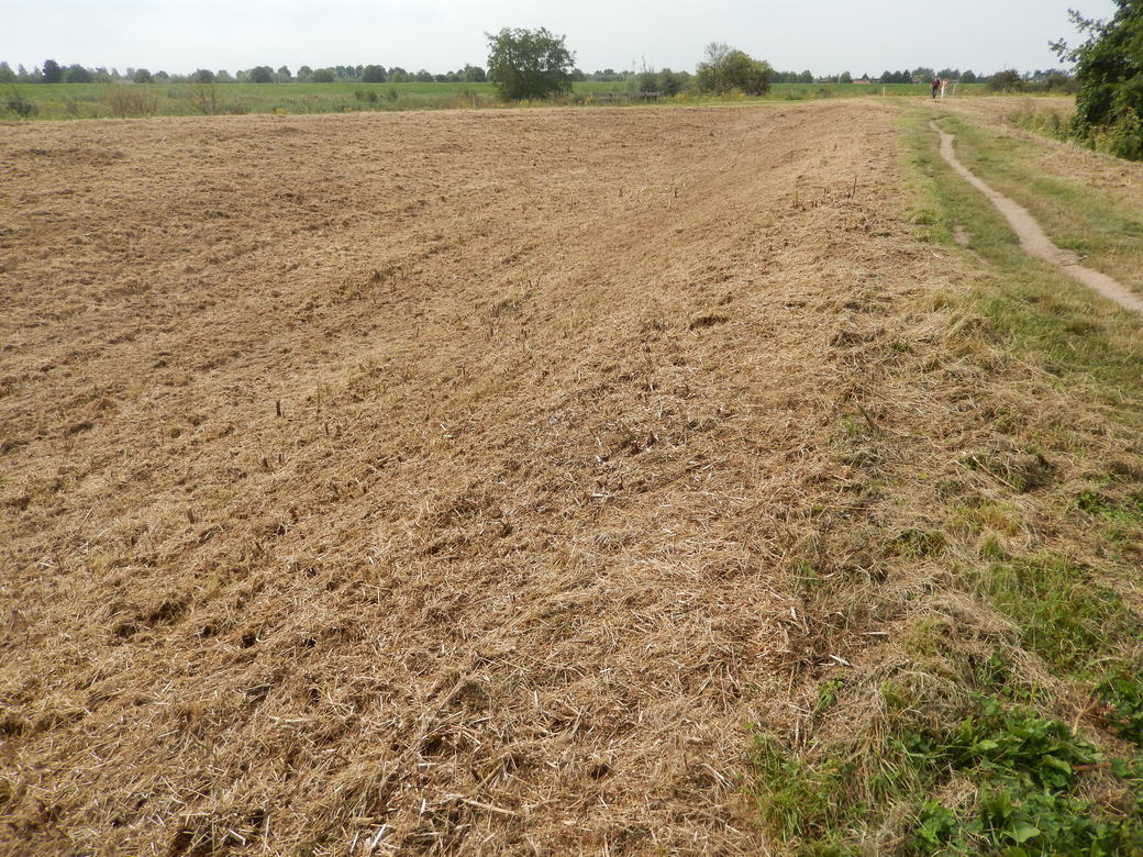 NVWCulemborg's tweet photo. @Rijkswaterstaat  heeft op het hoofdkantoor in Utrecht de mond vol van #biodiversiteit, maar in de praktijk komt daar geen bal van terecht. Ooit gehoord van gefaseerd maaien? Ooit gehoord van variatie? Ooit gehoord van ecologisch beheer? #Baarsemwaard #Culemborg https://t.co/iFDLbOTElH