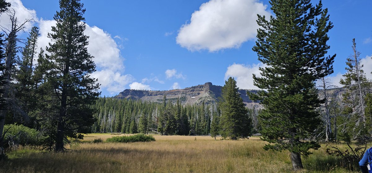 VrZechs's tweet photo. Return to hiking before the season ends ##oregonhikes #oregonlife #oregonisbeautiful #gayinnature https://t.co/7g41WDIMKG
