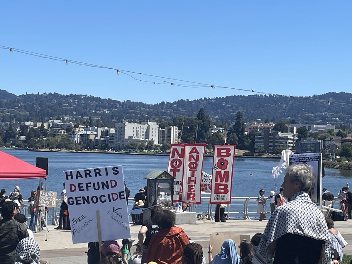 Patrick Reinsborough is @giantwhispers.bsky.social tweet media