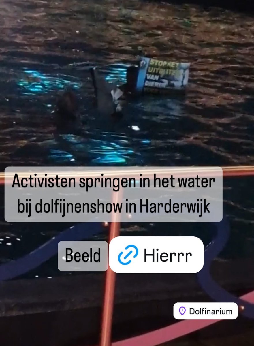 Doen ze nou nooit bij de orca’s……