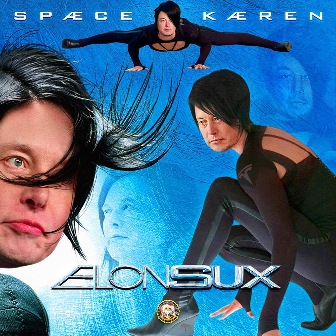 Lizzybearuwu's tweet photo. @elonmusk https://t.co/8XSVAYI0I4