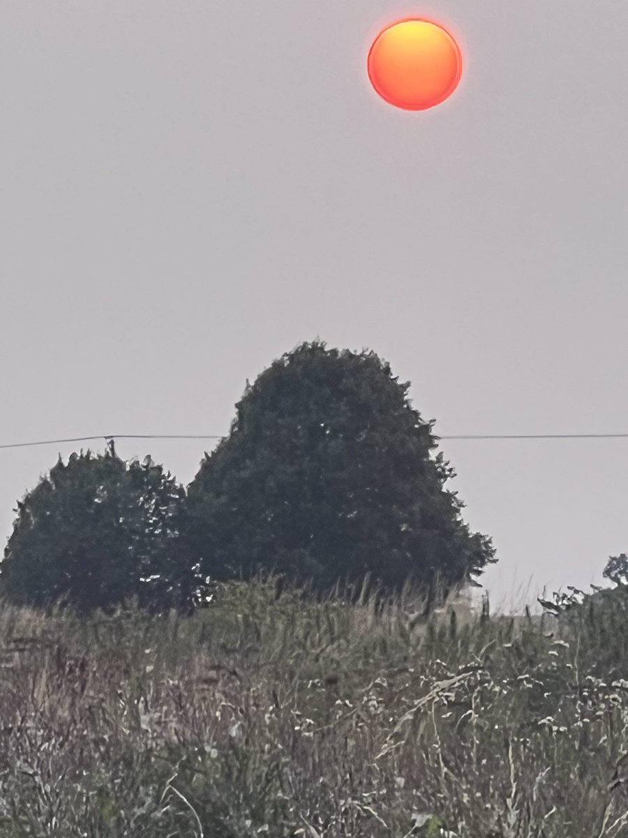 Amazingly strange sunset today in Wiltshire?