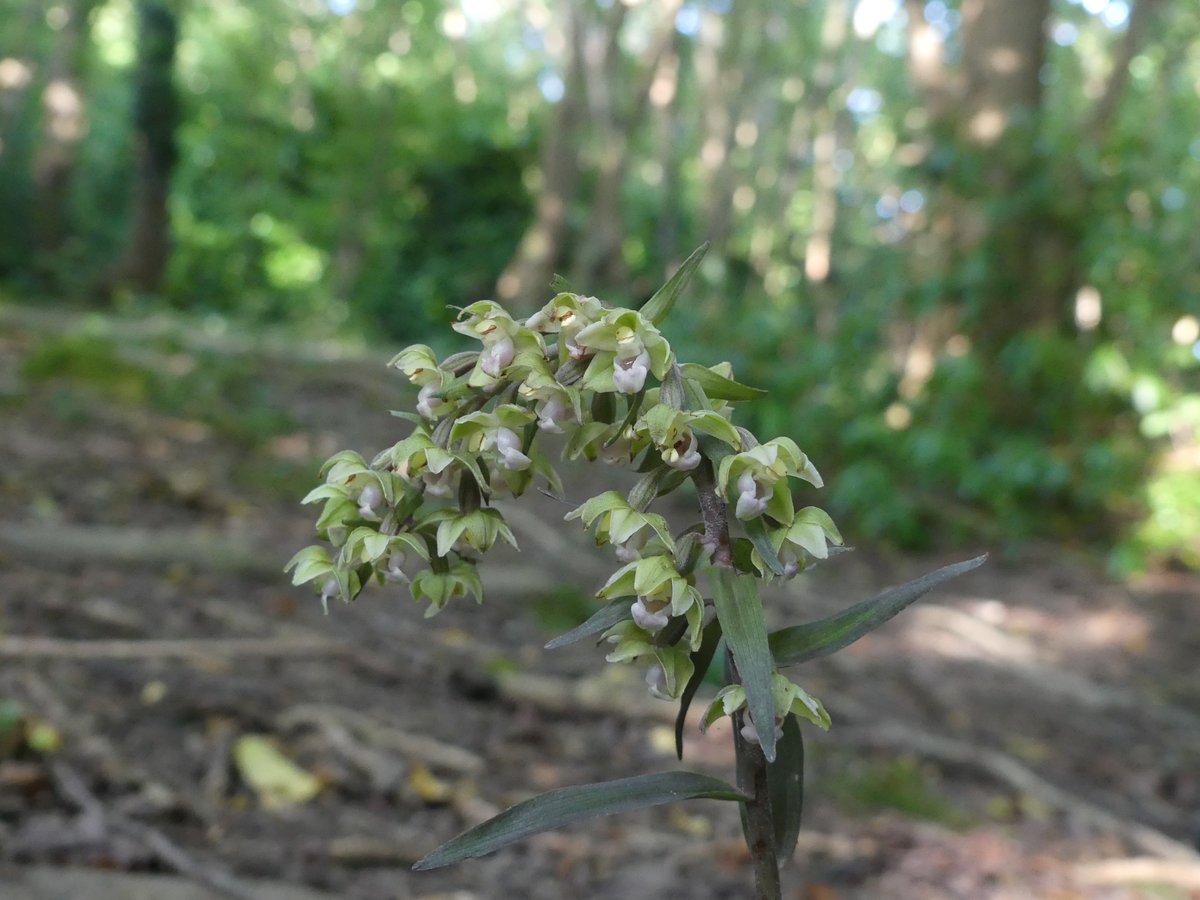 Kate Gold tweet media