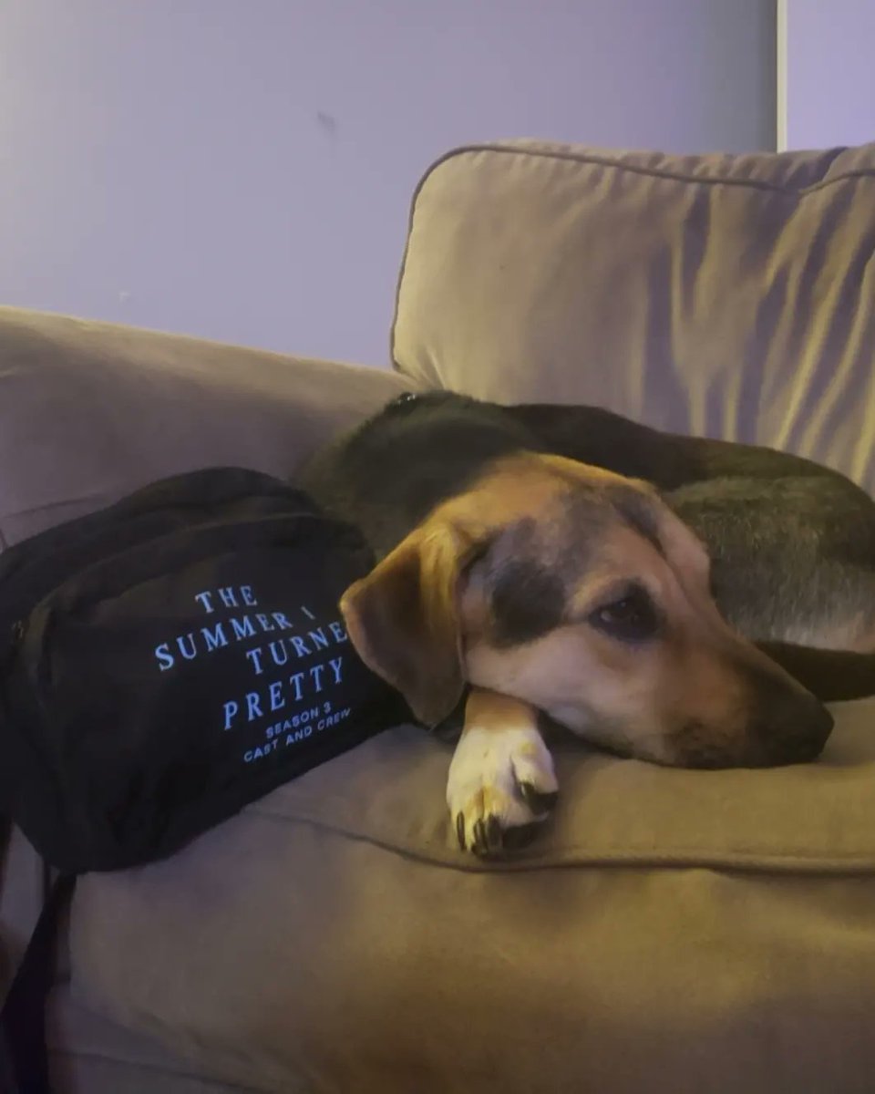 MRhian19's tweet image. Filming for #thesummeriturnedpretty ended this week. Im so thankful &amp;amp; grateful I could contribute in my small ways. It was an amazing experience. I got this new chair for #PrincessPretty &amp;amp; took pics of her with some swag from the last day of shooting. So cute!!! #HairGoddess