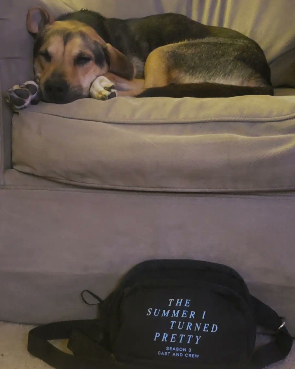 MRhian19's tweet image. Filming for #thesummeriturnedpretty ended this week. Im so thankful &amp;amp; grateful I could contribute in my small ways. It was an amazing experience. I got this new chair for #PrincessPretty &amp;amp; took pics of her with some swag from the last day of shooting. So cute!!! #HairGoddess