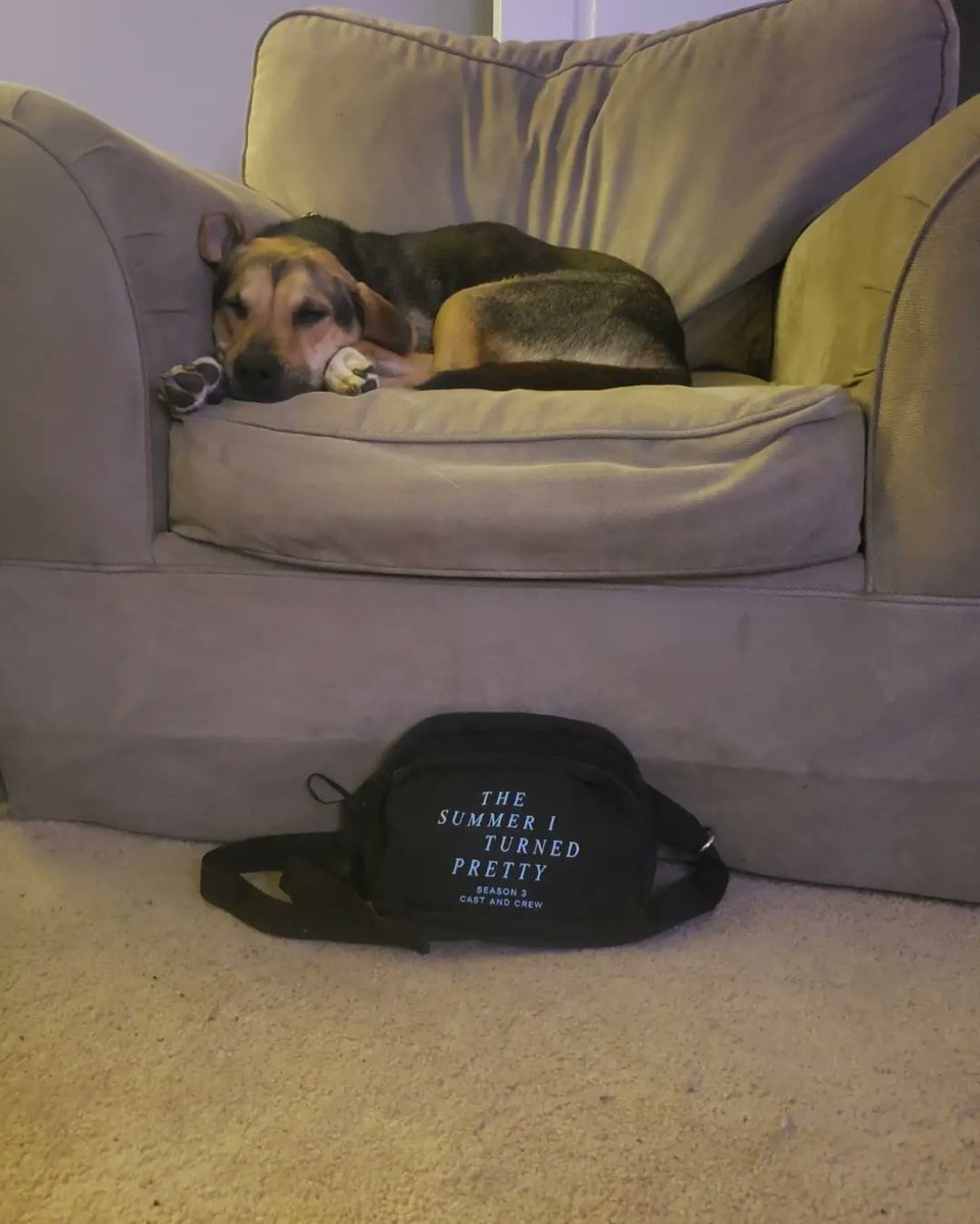 MRhian19's tweet image. Filming for #thesummeriturnedpretty ended this week. Im so thankful &amp;amp; grateful I could contribute in my small ways. It was an amazing experience. I got this new chair for #PrincessPretty &amp;amp; took pics of her with some swag from the last day of shooting. So cute!!! #HairGoddess