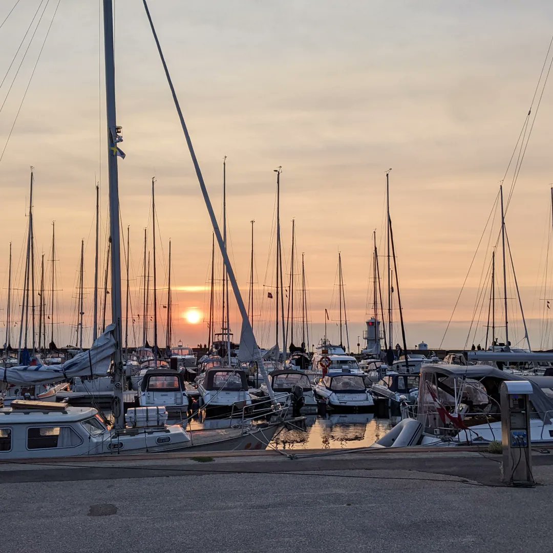 stefanhock's tweet photo. #KopenhagenYstad2024 Malmö - Skanör auf Falsterbo 52 km. Heute ganz chillig und mit viel "auf diese Brücke glotzen", die wir halt diesmal nicht benutzen werden. https://t.co/uP6U81i21U