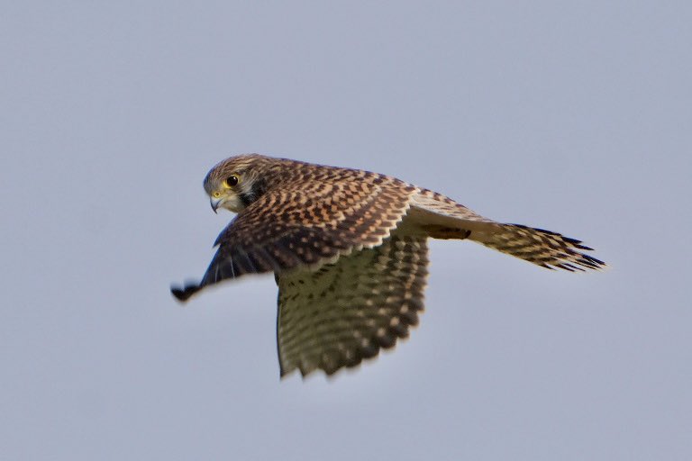 Heather England tweet media