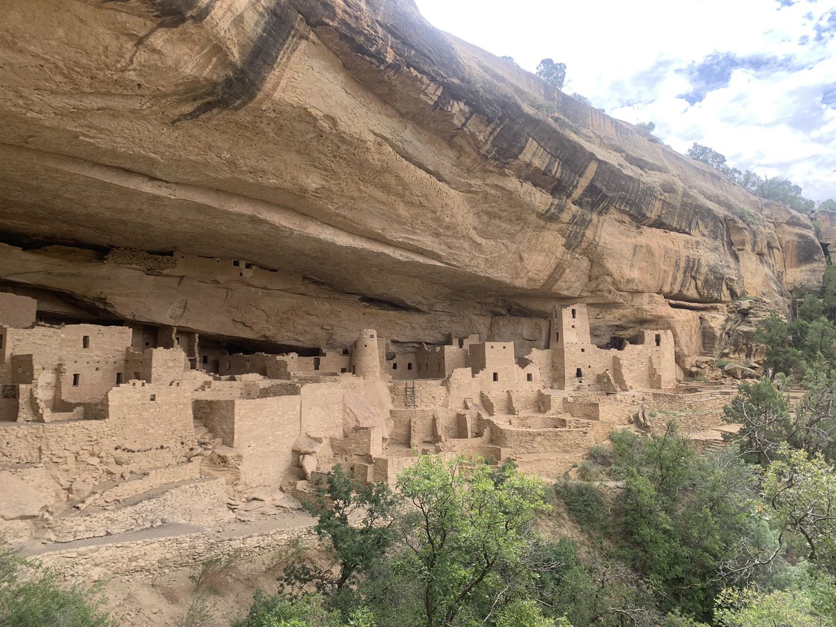 turtlesRus's tweet image. Shoutout to the Navy for the free trip to Colorado