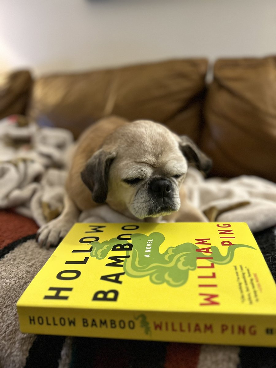 leah j (@el_jay_jr) on Twitter photo Spent my weekend in the world of “Hollow Bamboo” by <a href="/RealWilliamPing/">William Ping</a> accompanied by the soundtrack of a snoring senior pug. Such an amazing story, beautifully told. Grateful to <a href="/Winterset_Fest/">WintersetinSummer</a> for the introduction. Spent my weekend in the world of “Hollow Bamboo” by <a href="/RealWilliamPing/">William Ping</a> accompanied by the soundtrack of a snoring senior pug. Such an amazing story, beautifully told. Grateful to <a href="/Winterset_Fest/">WintersetinSummer</a> for the introduction.