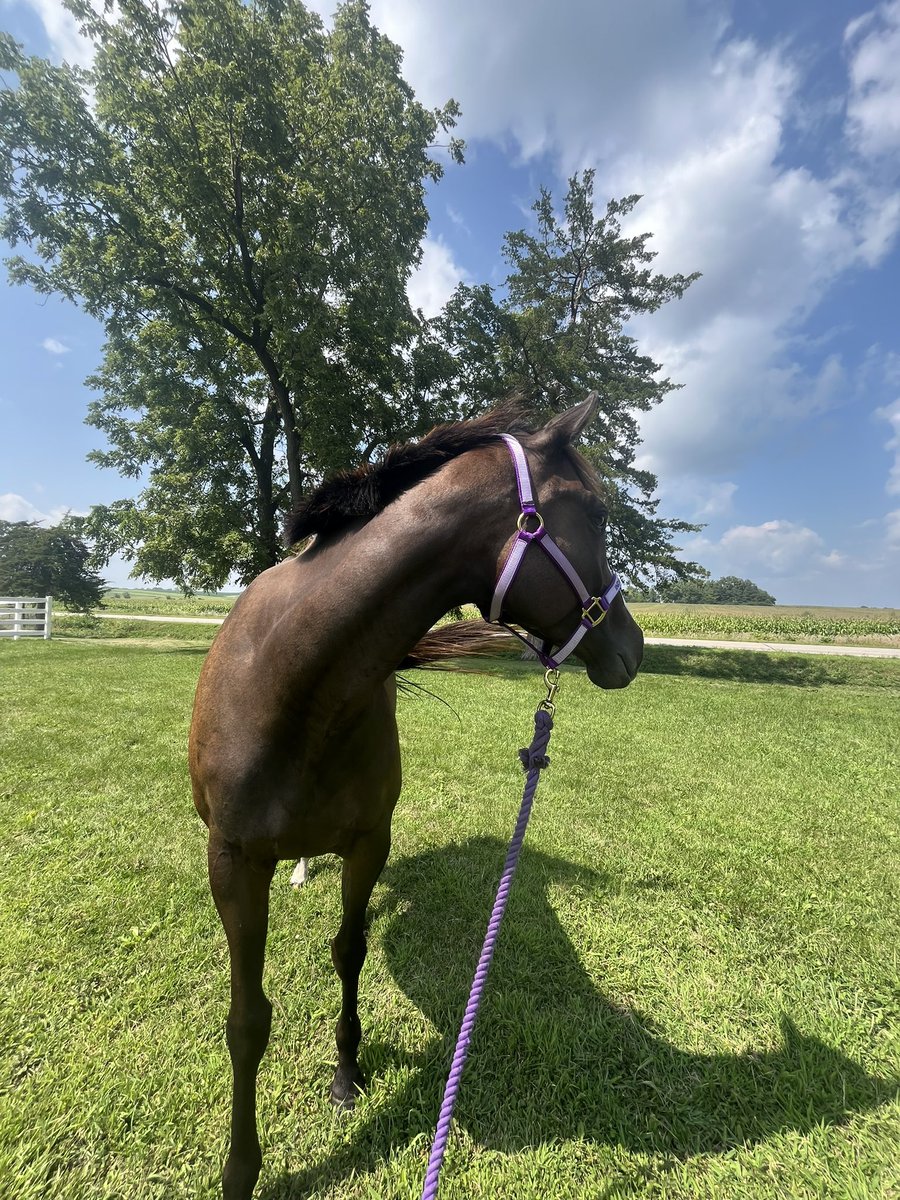 uneventful eventer tweet media