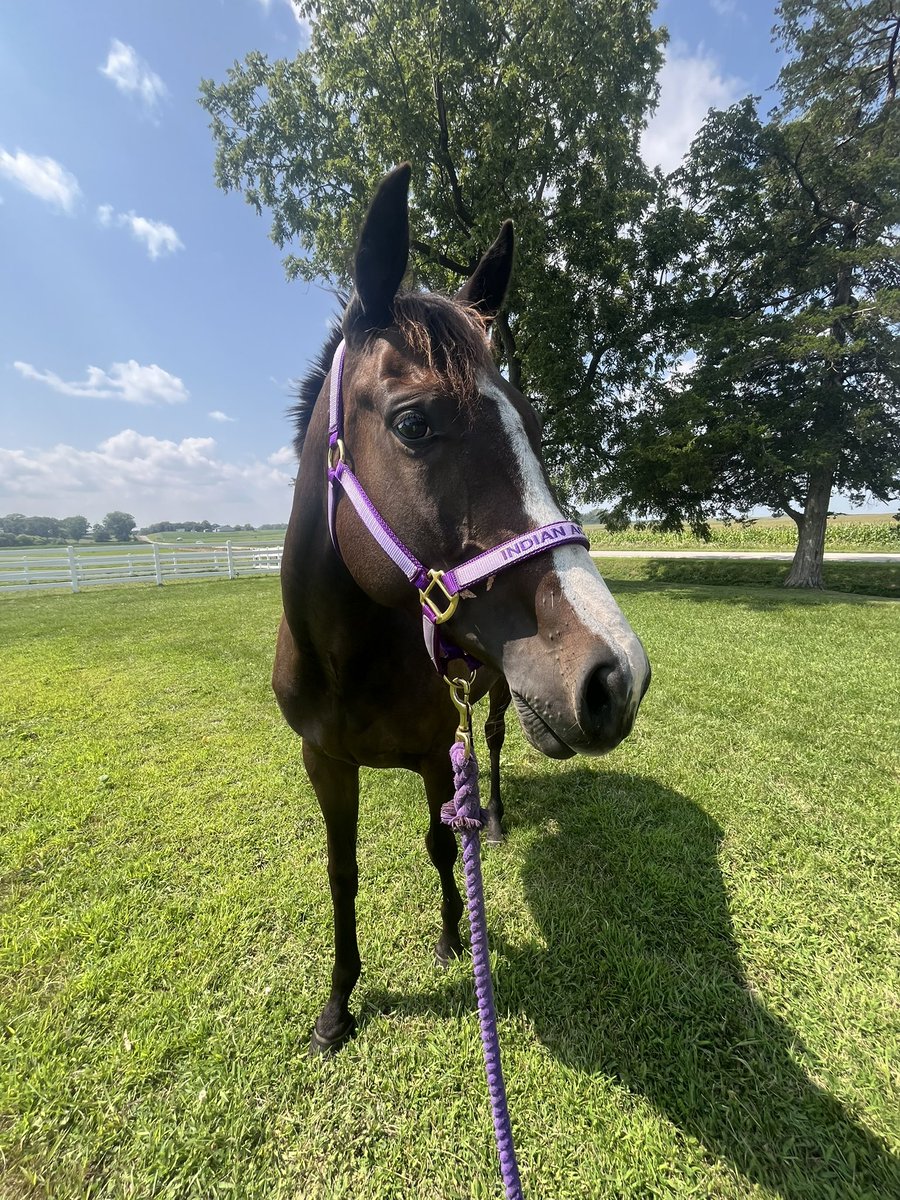 uneventful eventer tweet media