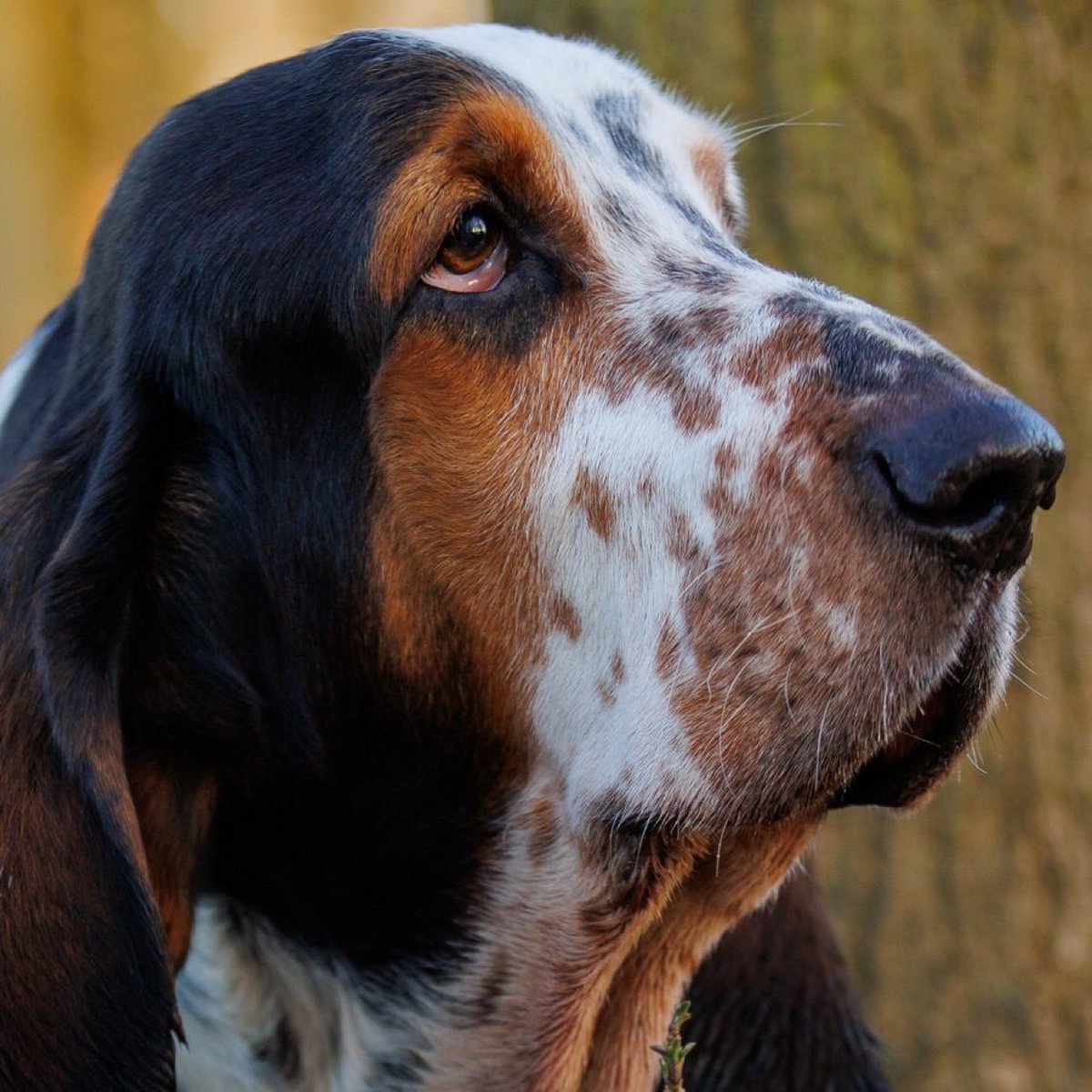 Phil Sledge tweet media