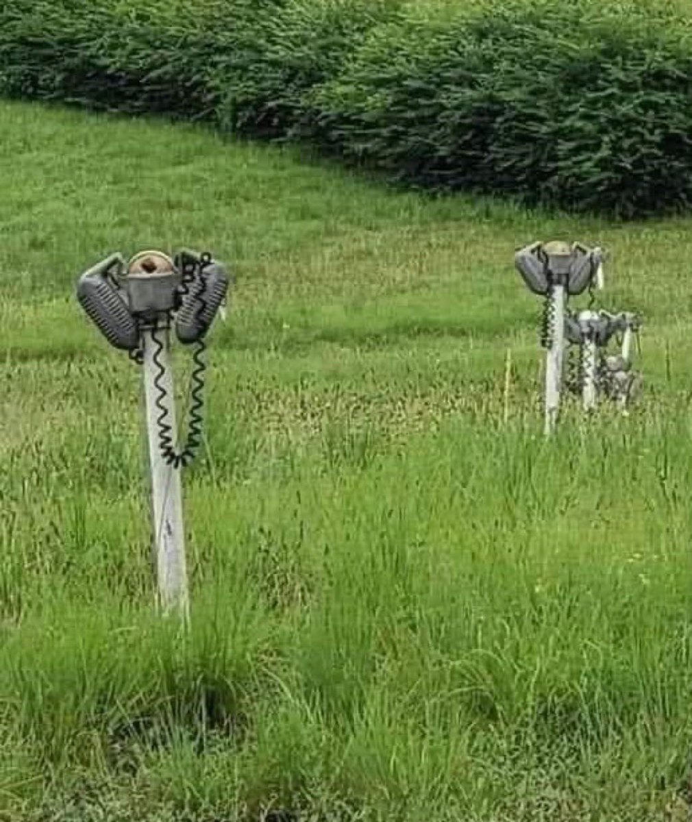 A time when things seemed simpler. 
Do you know what they are?