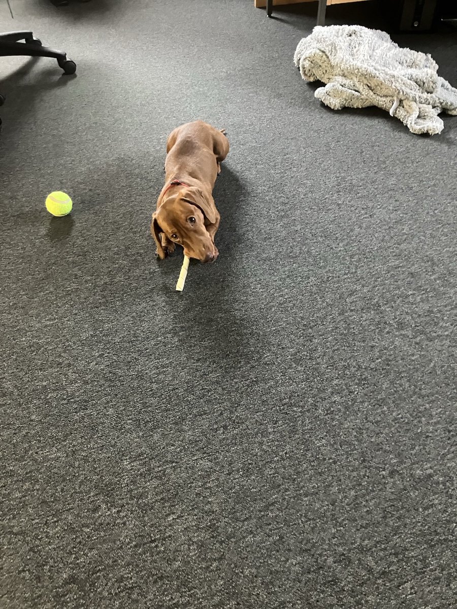 Louise Wright tweet media