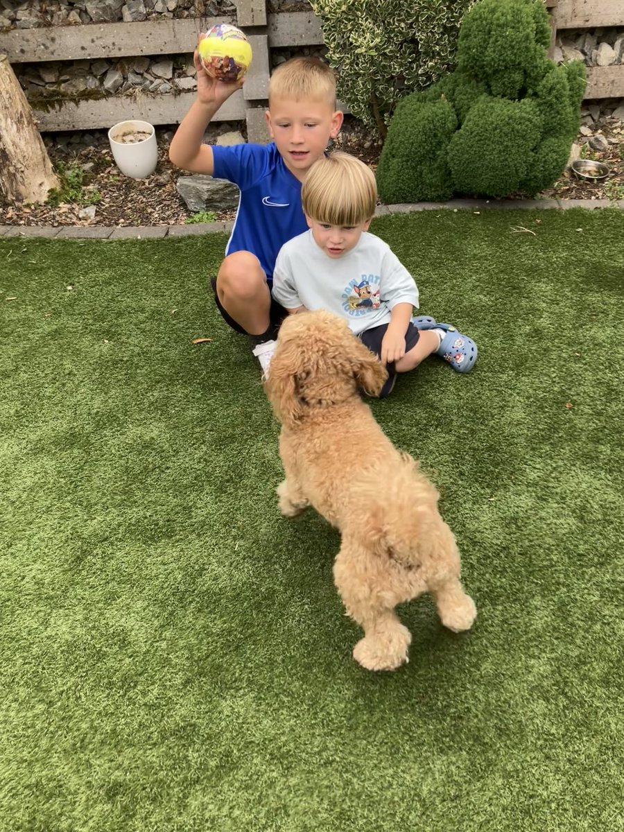 Louise Wright tweet media