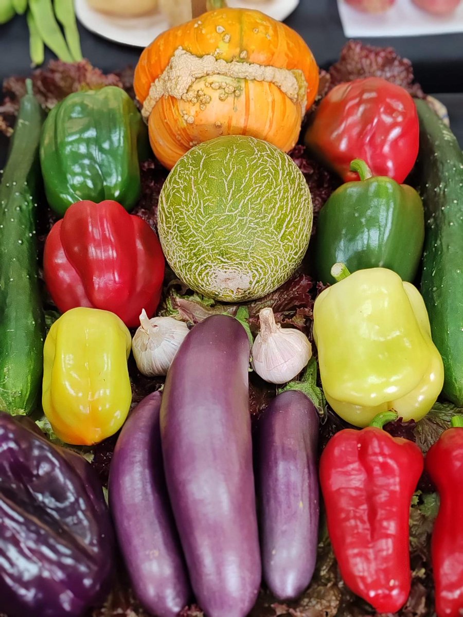VillageShowDP's tweet photo. 2 weeks until show day. Here's some inspiration from past shows #showday #dinaspowys #31staugust #villageshow #veg #fruit https://t.co/rVMtZOi148