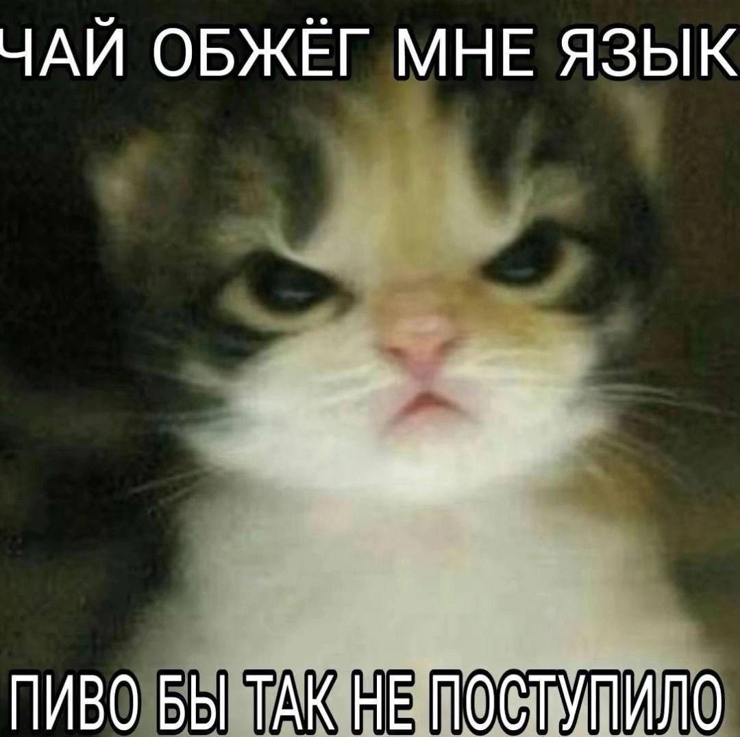 Дантес (@dantesdmitriy) on Twitter photo 