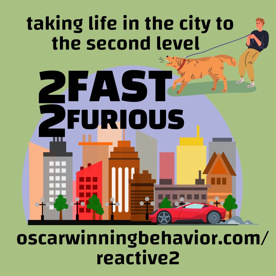 OscarWinning's tweet image. Just a reminder that 2Fast2Furious, our advanced reactivity class, is starting soon for Fall! Is your dog ready for some more challenges on defusing their reactivity? We're here to support you all the way! oscarwinningbehavior.com/reactive2 #reactivedogs  #behaviorthatwinsrewards