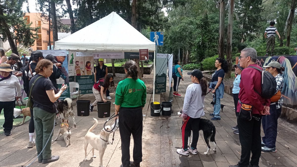 PAOTmx's tweet photo. Nos encontramos en la #Caninata en Canal Nacional organizada por @SEDEMA_CDMX 🐶
A través de actividades lúdicas compartimos las opciones para hacer un adecuado manejo de heces 💩 de #animalesdecompañía🐕🐈⬛ y ser personas tutoras responsables
@AgatanCdmx
@elconsejomx https://t.co/9YdvNEAORw