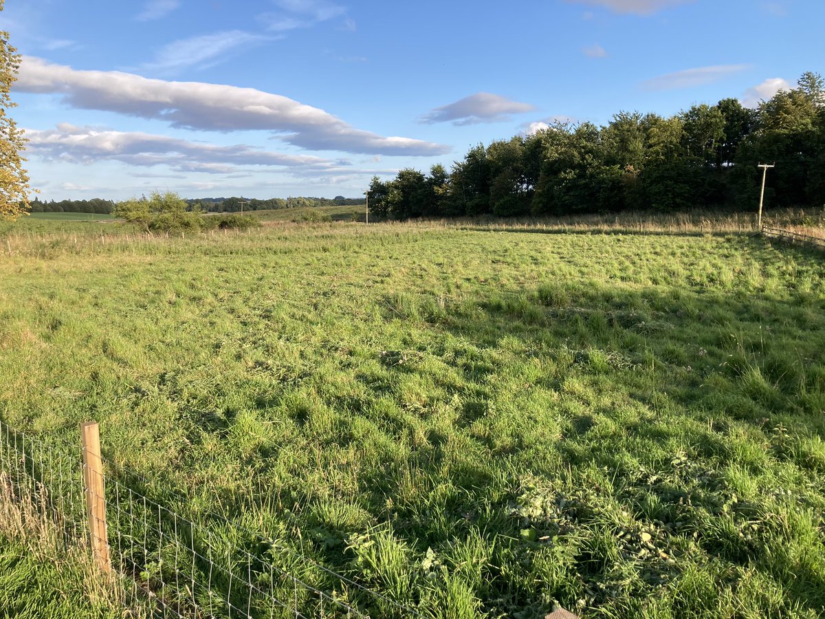 BallindeanRF's tweet photo. Thought it was time to practice my Poldark impression 🤣
But thankfully for all concerned, the top stayed well & truly on.
Thistle control the old fashioned way.
2.5hrs of sunshine, peace & quiet & exercise.
#paddocks #weedcontrol #thistles #culturalcontrol #IPM #chillouttime https://t.co/zCxMtmYHj8