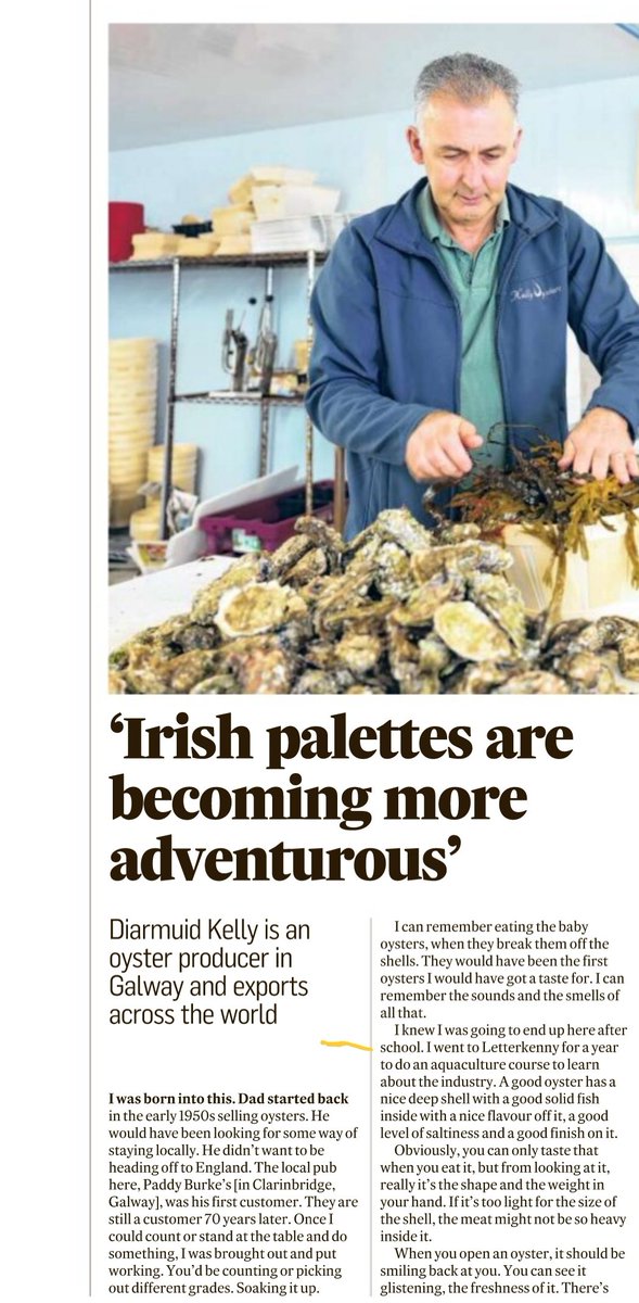 Roger O'Keeffe /Ruaidhrí Ó Caoimh tweet media