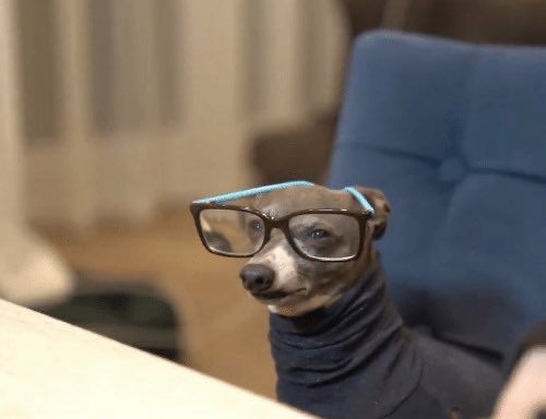 𝔎𝔦𝔫𝔤 𝔴🙃𝔯𝔯𝔶 tweet media