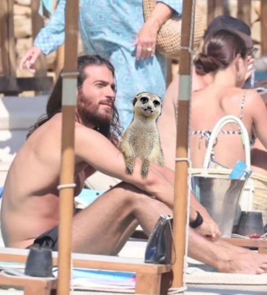 La morena no es la peligrosa 😂😂😂
#SuricataSiempreDaLaLata 🦝
#TuLoSabias 🤭
