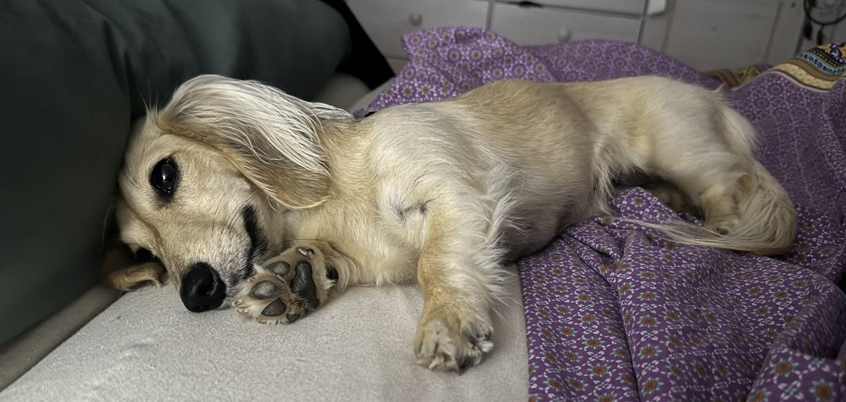 Jette (Ministerin für Fressangelegenheiten) tweet media