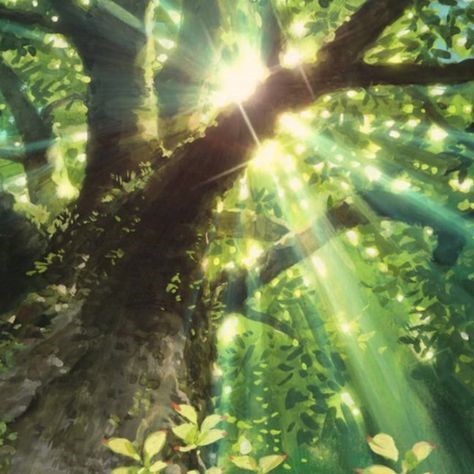 peacozy's tweet image. 