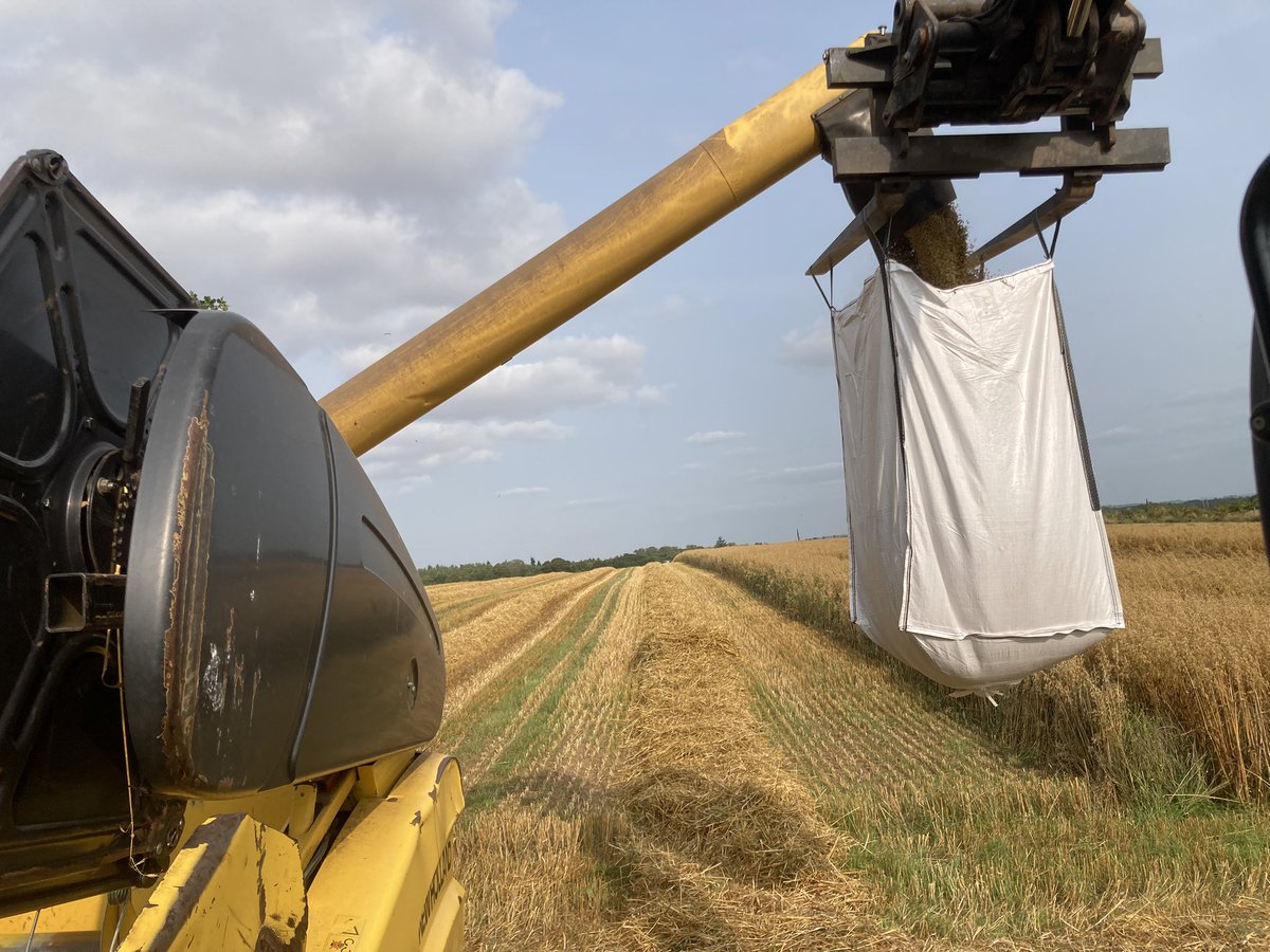 Mark Lea tweet media