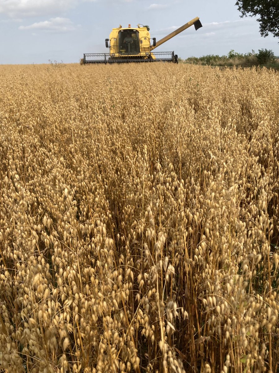 Mark Lea tweet media