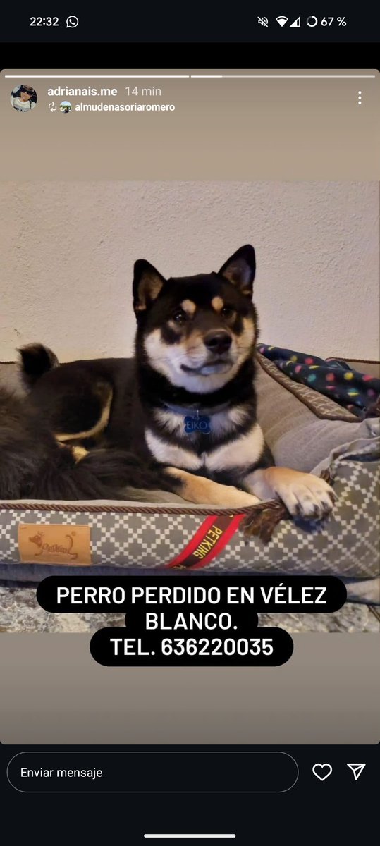neytan6939's tweet photo. https://t.co/9Vpa710cJ1