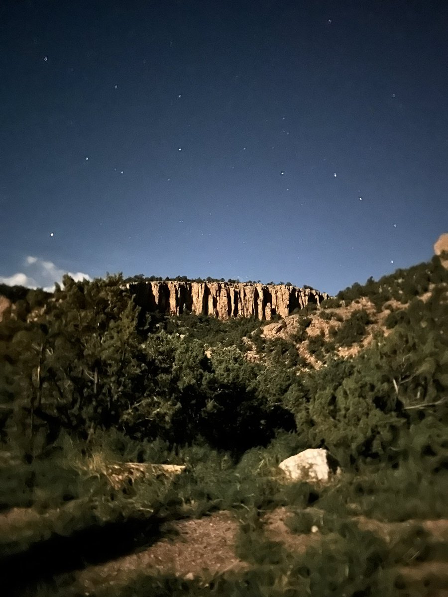 Lo_Files's tweet image. ✨