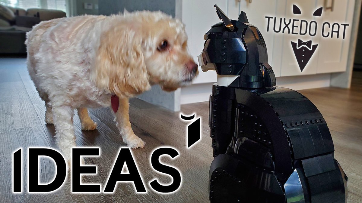 #LEGOIdeas Review: The Tuxedo Cat (2024 D2C 21349) If he fits, he sits. - youtu.be/CqcAAoxJs5I?si…