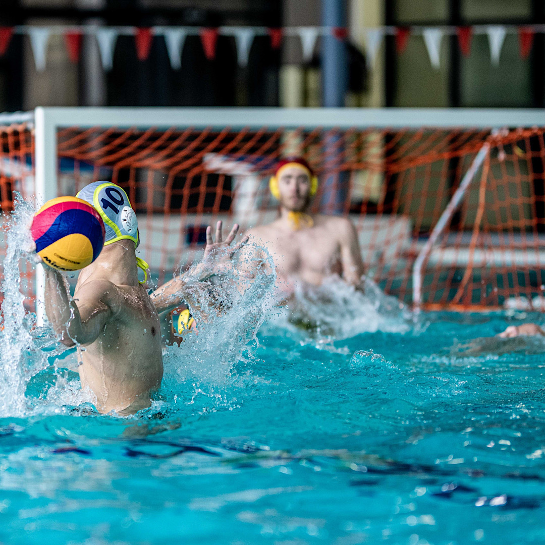 SVV Plauen starten in die neue Saison dlvr.it/TC4QsW