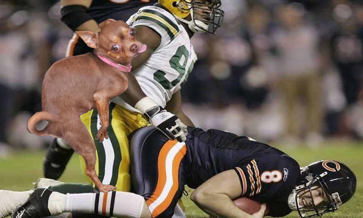 Humpy the Dog tweet media