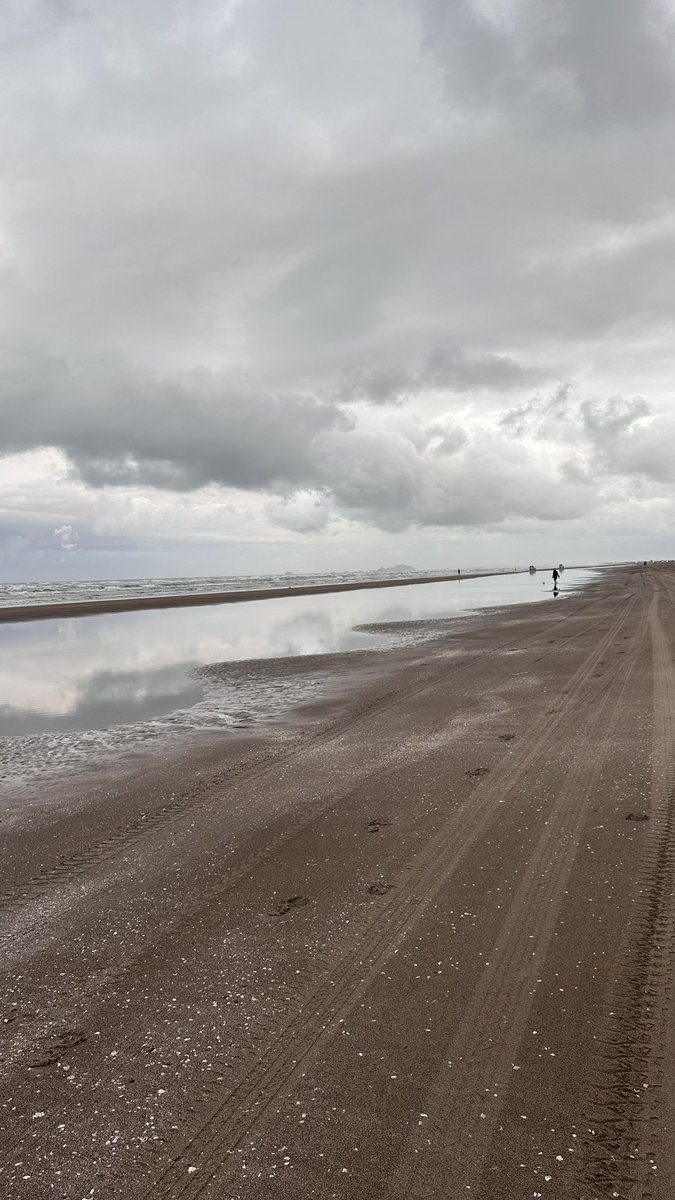 ليت الأماني بالتمني..